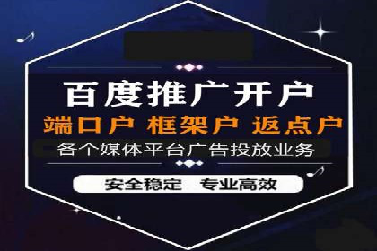 成功SEM代理案例：精准投放的策略